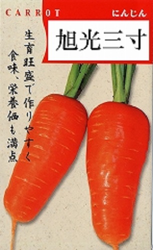 旭光三寸[人参] - e-種や｜国内最大級の野菜種・花種・苗・農業資材の