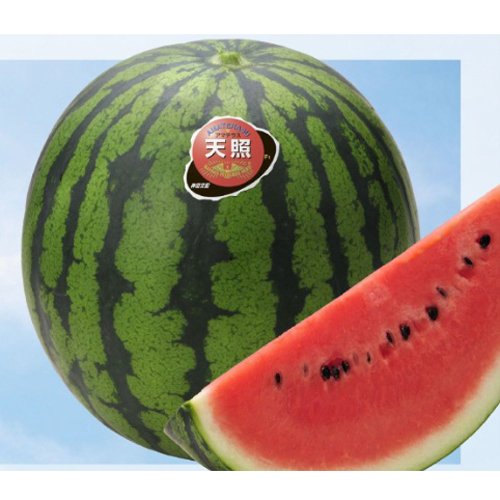西瓜（すいか） - e-種や｜国内最大級の野菜種・花種・苗・農業資材の