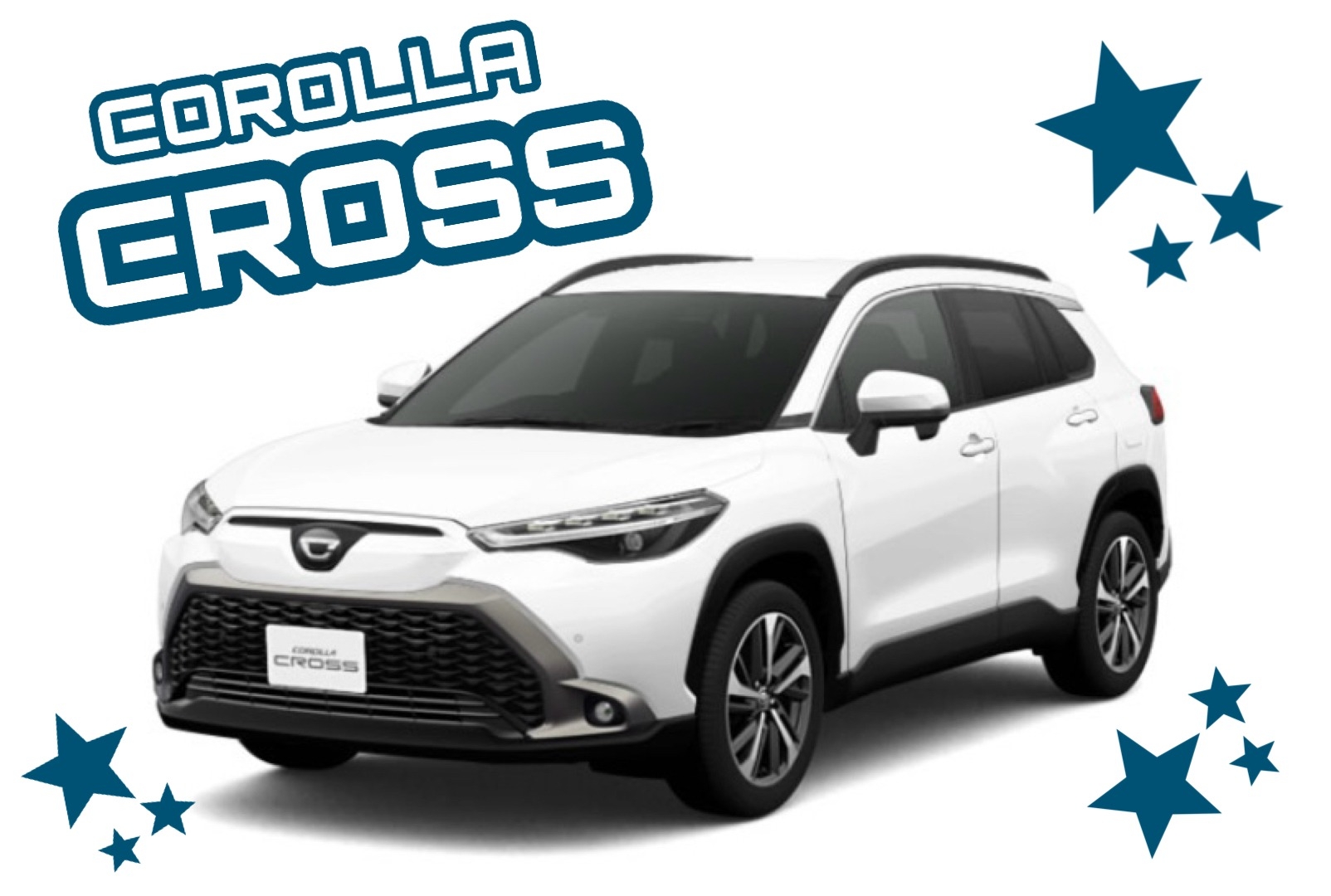 第8回『今治店のスタッフを紹介します！』～武田スタッフ編～