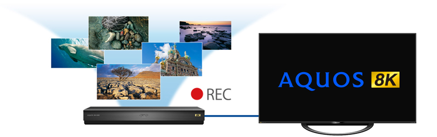 e-TREND｜シャープ 8R-C80A1 [8K対応USBハードディスク]