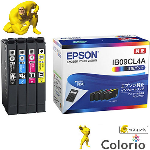 EPSON IP01B 純正プリンターインク ビジネスインクジェット4色セット