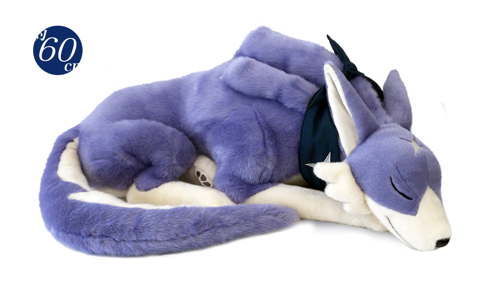 イーカプコン限定版『モンスターハンターライズ LIMITED EDITION