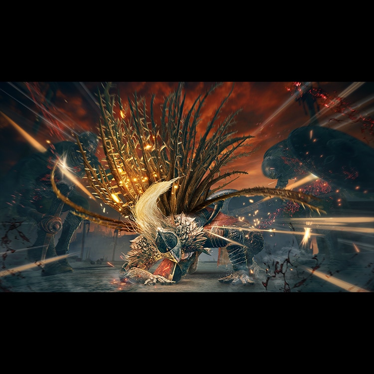 イーカプコン |【PS5】ELDEN RING SHADOW OF THE ERDTREE コレクターズ