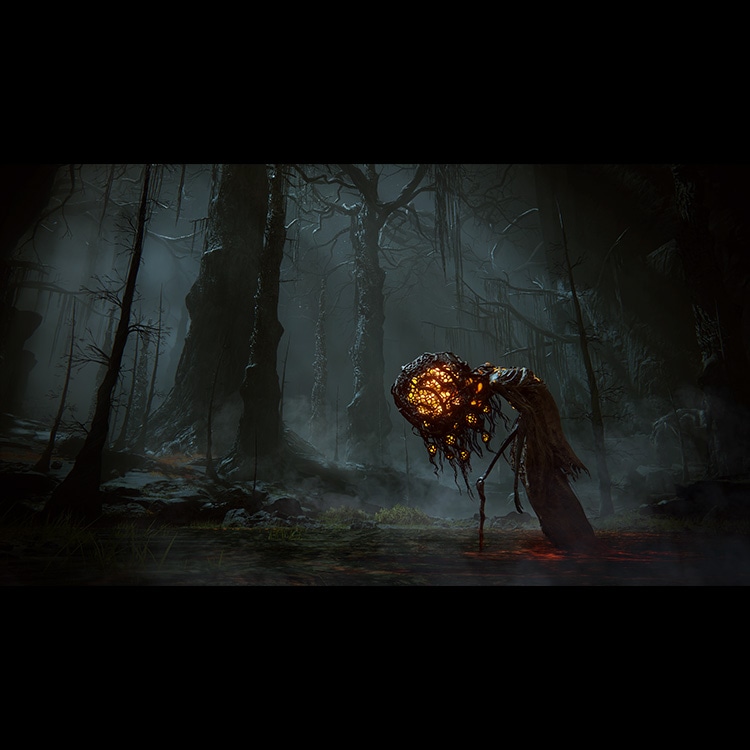 イーカプコン |【PS4】ELDEN RING SHADOW OF THE ERDTREE コレクターズ