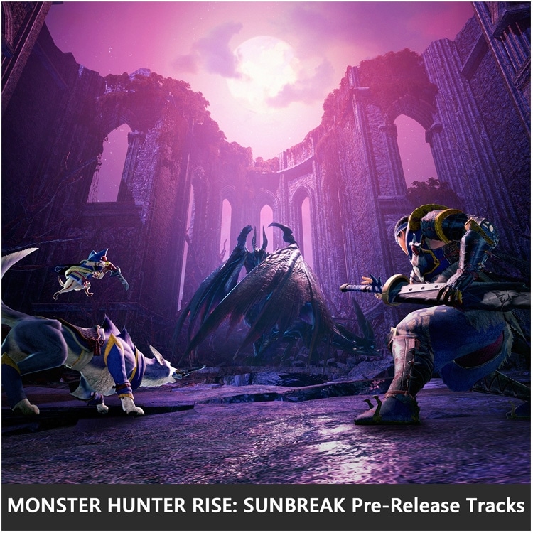 イーカプコン |【アルバム】モンスターハンターライズ: サンブレイク