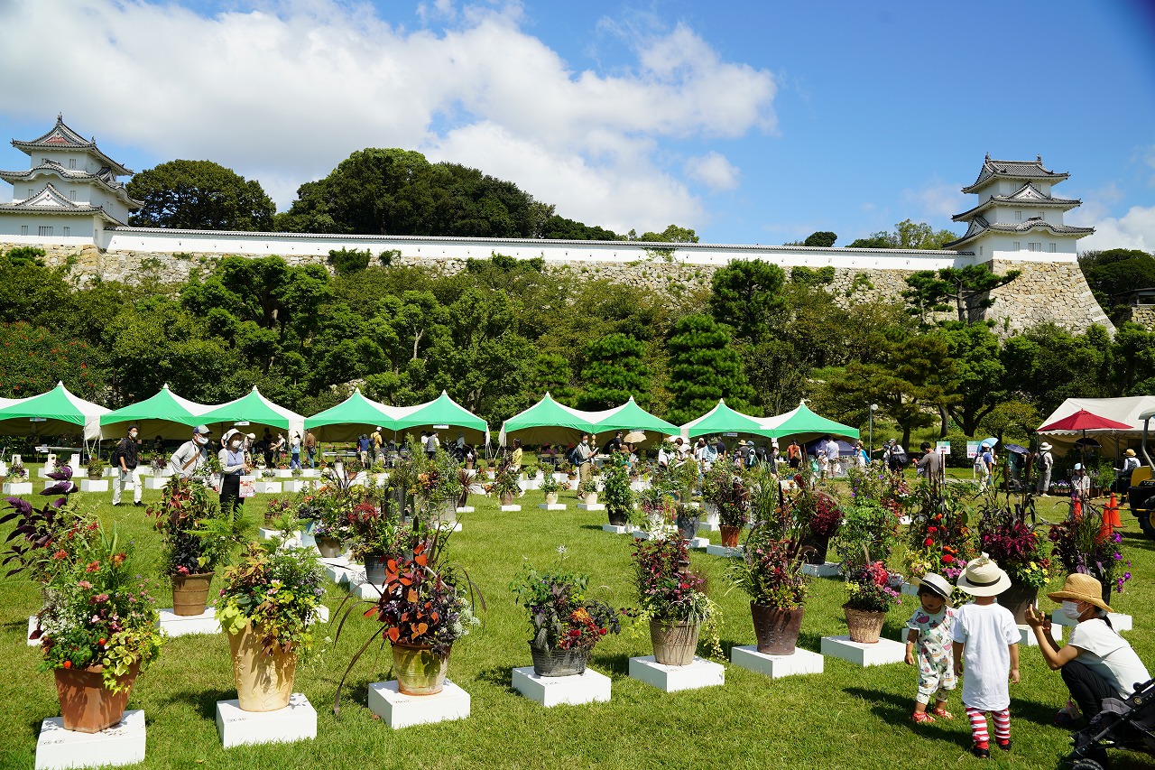 2025ひょうごまちなみガーデンショーin明石 | イベント | まるごと東はりま