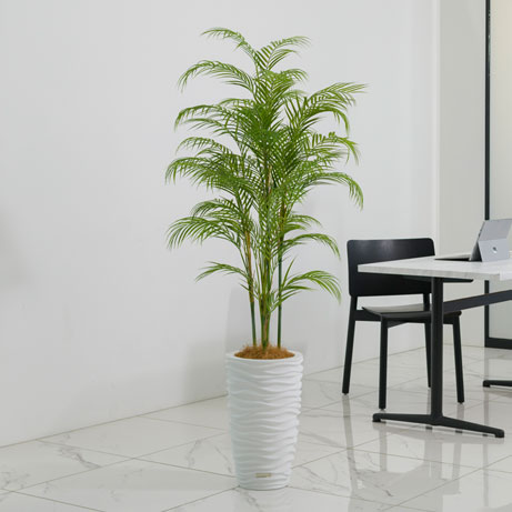 パーム4L アーティフィシャルグリーン 観葉植物 ギフト プレゼント お祝い