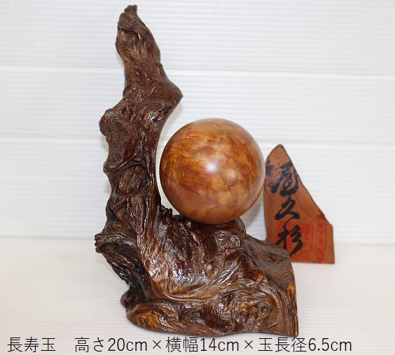 NO 724屋久杉光明 瘤 長寿玉 （玉長径 6.5㎝） 乾らんま店