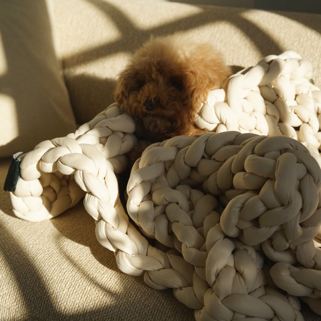 SS: 2.5kg ] ENBRY FOR PAWS ウェイテッドブランケット / ENBRY