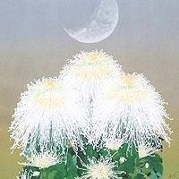 アーリーモーニング（レスリー・セイヤー）ならアンシャンテオークション