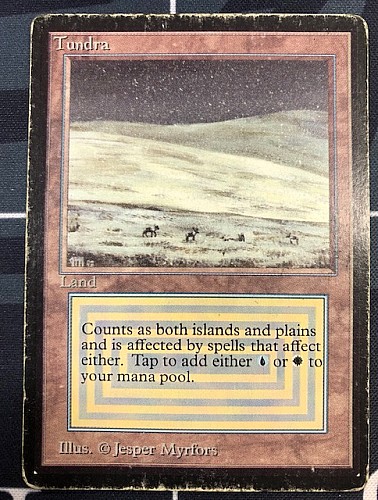 マジック：ザ・ギャザリング Tundra poor MTG, マジック:ザ