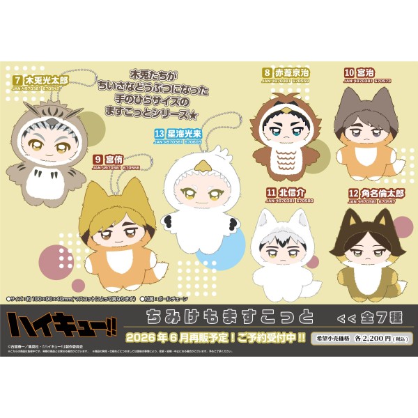 アニメ『ハイキュー!!』 ちみけもますこっと /(9)宮侑 ｜ エンスカイ