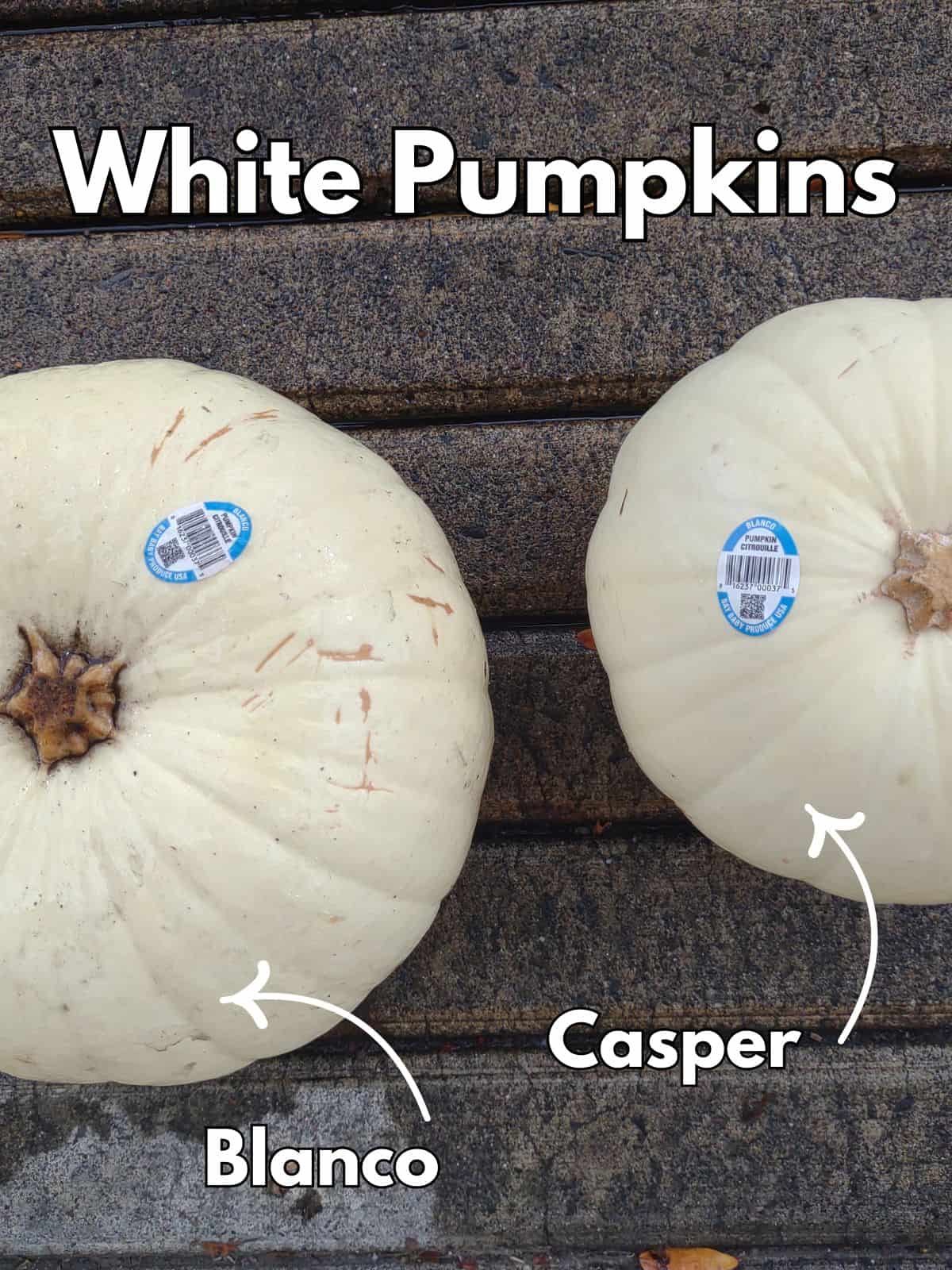 Are White Pumpkins Edible? I Cooked a Couple to Find Out - Eat