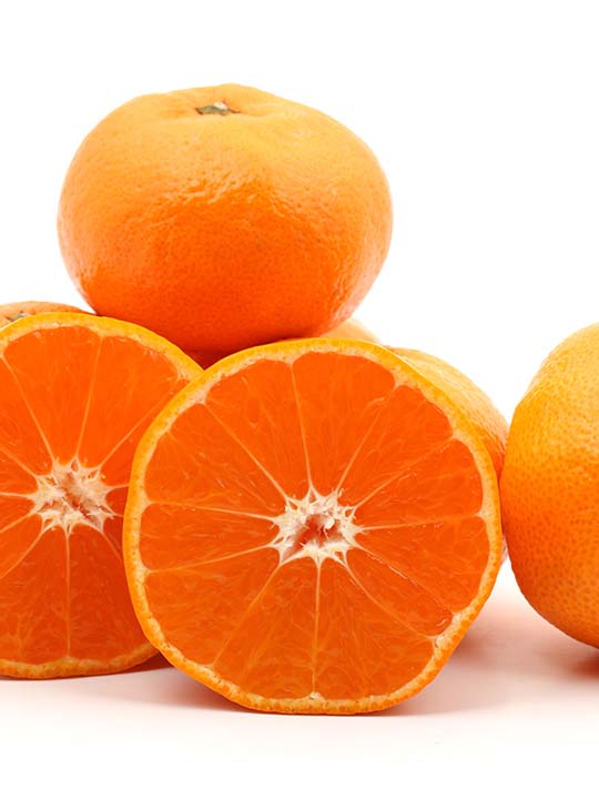 翠然フルーツ〉出島の華みかん させぼ温州の最高峰 糖度15度内 24入り