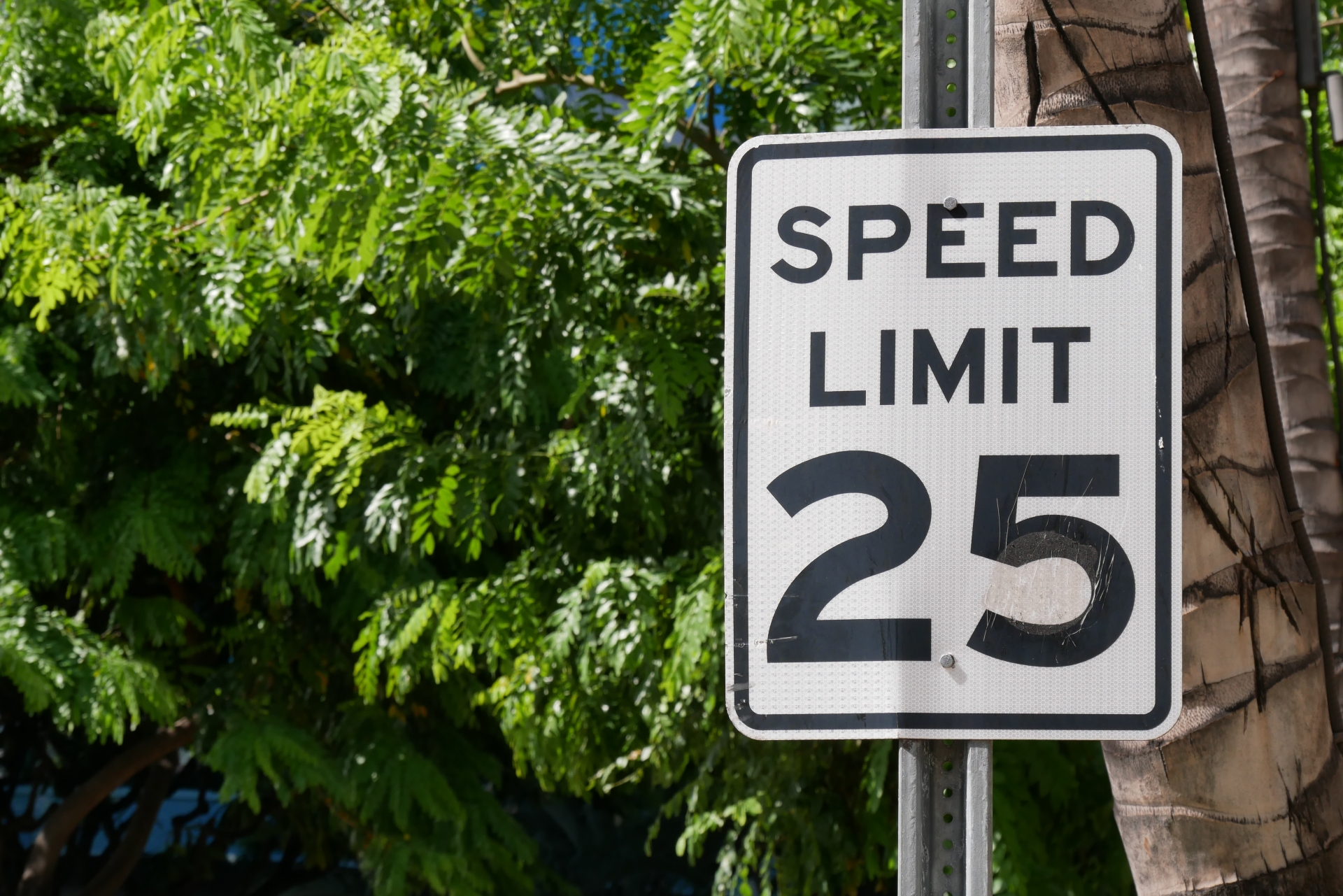 カリフォルニアの制限速度 | Eco Drive Auto Sales & Repair