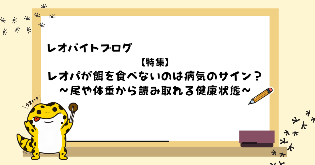 レオパが餌を食べないのは病気のサイン？尾や体重から読み取れる健康