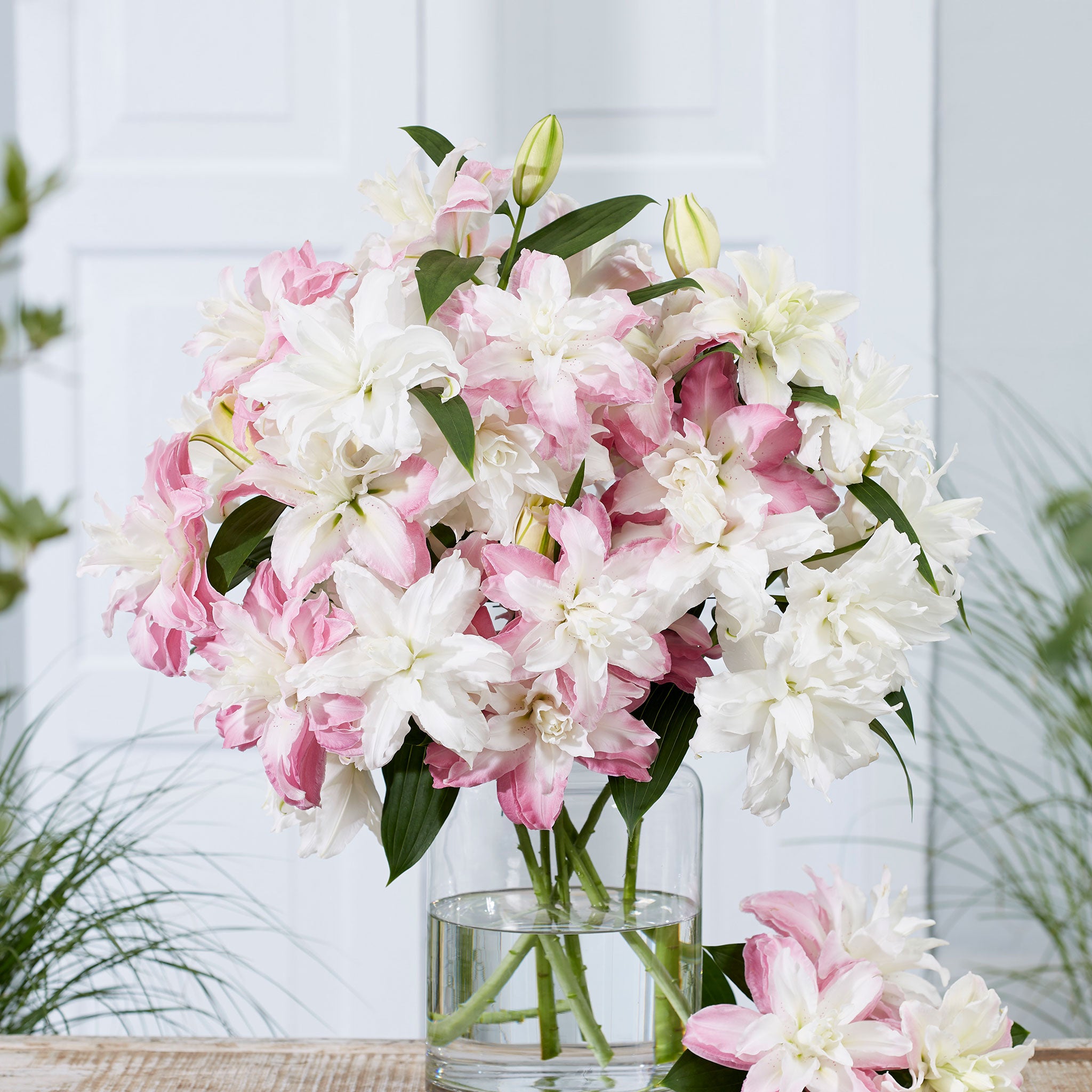 Lily Bulbs - Double Romantic Mix | Flower Bulbs | Eden Brothers