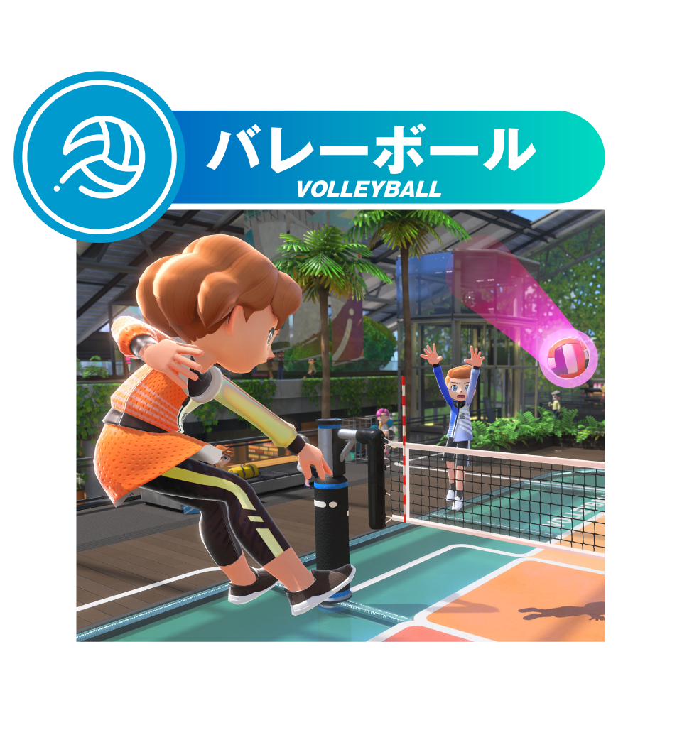 任天堂 HACRAS8SA Nintendo Switch Sports【Switch】 |エディオン公式通販