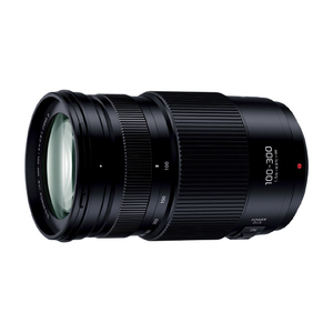 パナソニック H-FSA100300 超望遠ズームレンズ LUMIX G VARIO 100