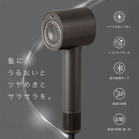 ニトリ ﾅﾉｳﾙｵｲﾋﾞﾊﾂﾄﾞﾗｲﾔ-NL701DGY ナノうるおいイオン美髪ドライヤー e