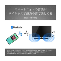 TVS REGZA TS3100Q レグザ サウンドシステム |エディオン公式通販