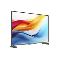 SKYWORTH R25ZR01A 55V型4K対応液晶 チューナーレススマートテレビ