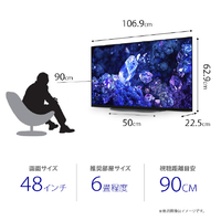 SONY XRJ-48A90K 48V型4Kチューナー内蔵4K対応有機ELテレビ BRAVIA