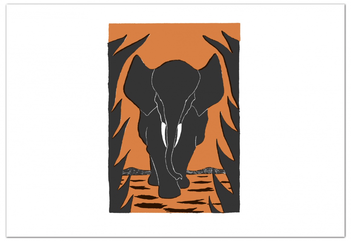 éditions MeMo — Les cures merveilleuses du Docteur Popotame