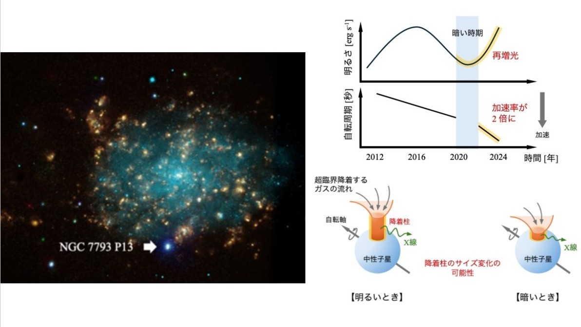 宇宙最強の磁石 “中性子星” がのみこむ多量のガスと回転スピードの未知