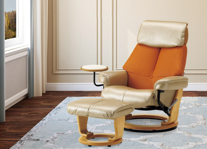 リクラ リクライニングチェア｜医療介護椅子｜E家具