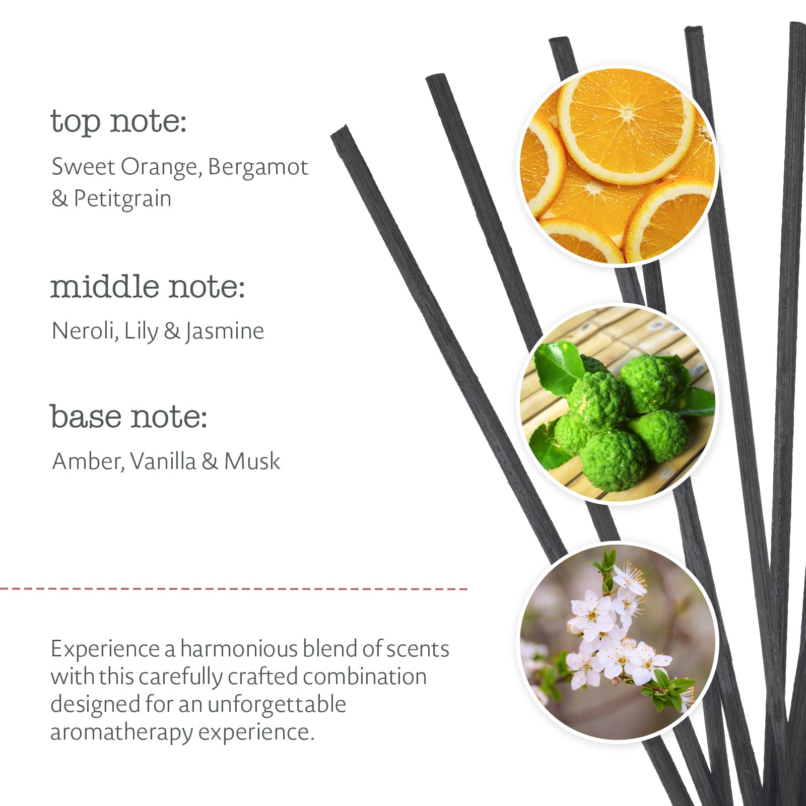 Zest Reed Diffuser – elemental herbology