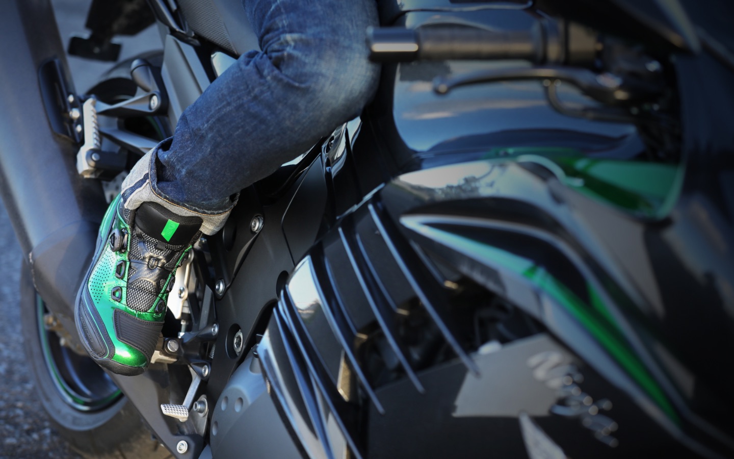 グリーンカラーモデル スペシャルコンテンツ | elf footwear