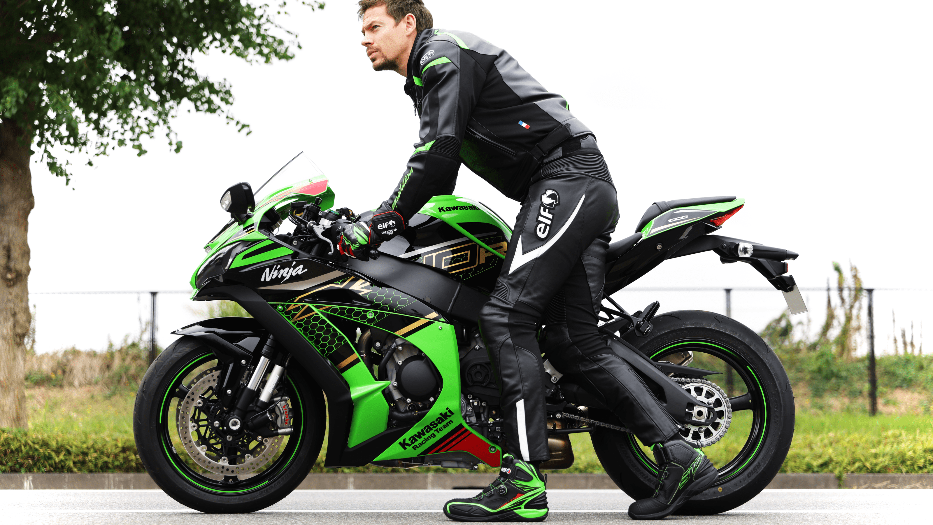 グリーンカラーモデル スペシャルコンテンツ | elf footwear