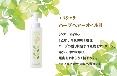 夏はハーブヘアーオイルⅡでスカルプケア | エルセラーン化粧品