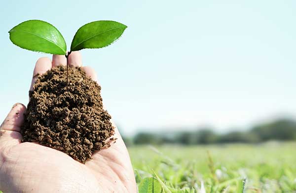 新商品】サステナブル原料×発酵の恵み | エルセラーン化粧品