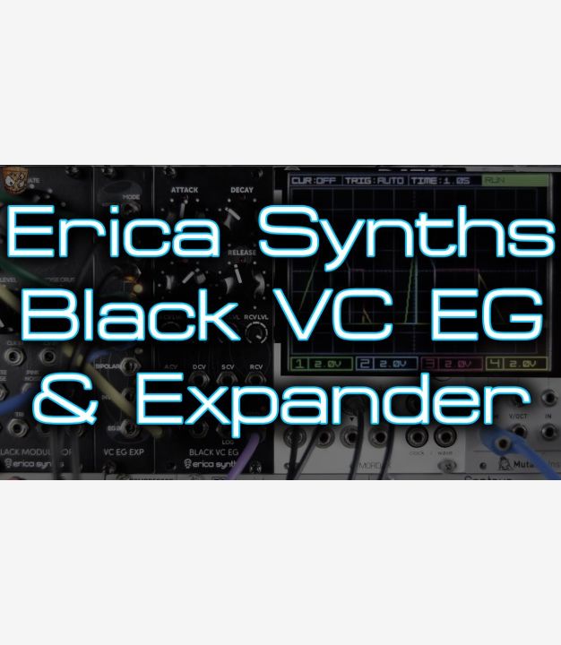 鍵盤楽器 Erica Synths BLACK VC EG Erica Synths Black Stereo Reverb