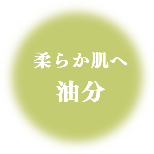 モイスチャライザー｜商品情報｜株式会社エリナ
