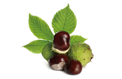 ベータジンセン AO トーナー｜商品情報｜株式会社エリナ