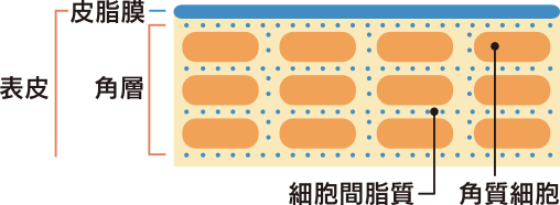 モイスチャライザー｜商品情報｜株式会社エリナ