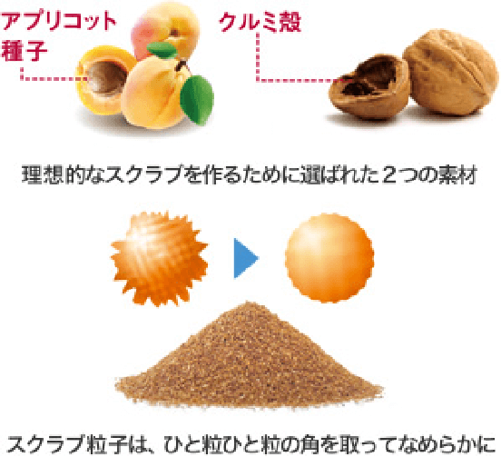 フェーシャルスクラブクリーム｜商品情報｜株式会社エリナ