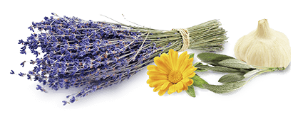 GWSエッセンス｜商品情報｜株式会社エリナ