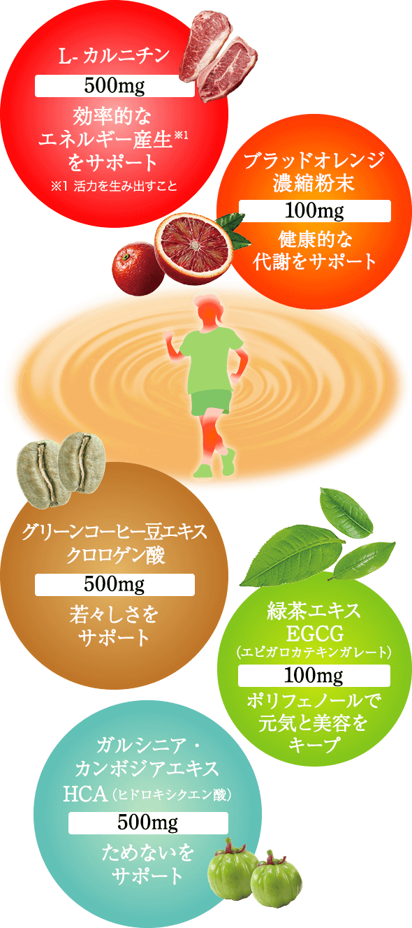 ファットファイヤー｜商品情報｜株式会社エリナ