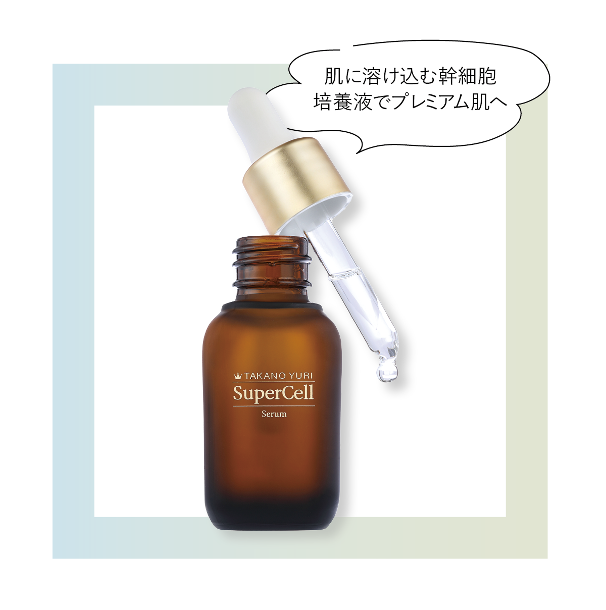 ヒト幹細胞培養液／マストバイアイテム2024 - エステティック通信