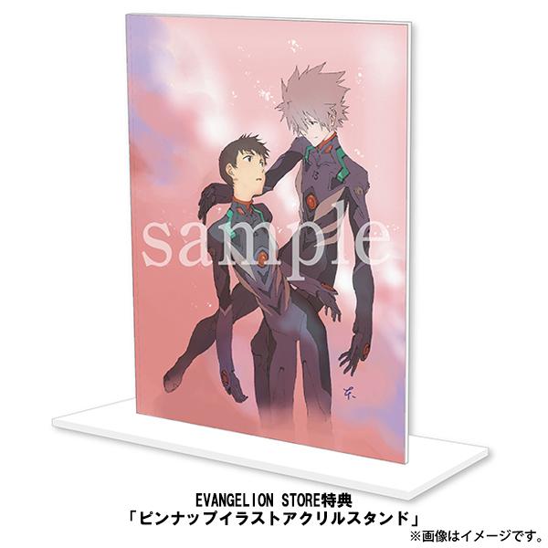 EVASTORE限定版】ヱヴァンゲリヲン新劇場版：Q 全記録全集 ビジュアル