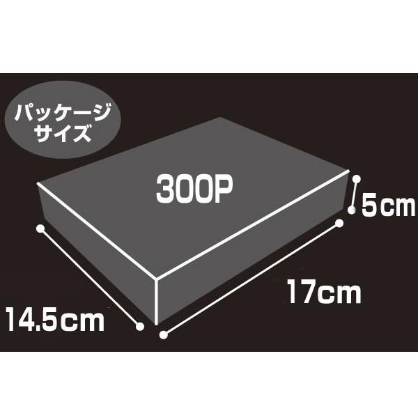 EVA STORE オリジナルジグソーパズル SUSHIO×EVA part.3（レイ 300