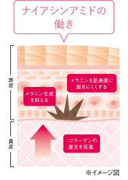 美・皇潤パーフェクトリンクルクリアクリーム 単品 ｜【エバーライフ
