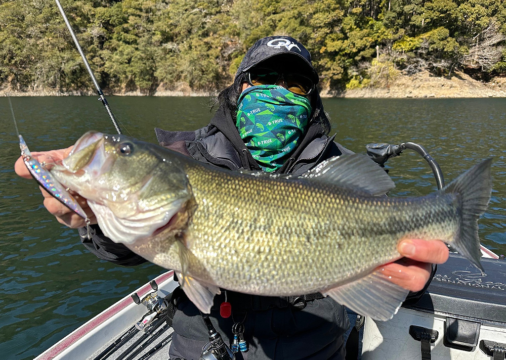 EVERGREEN（エバーグリーン インターナショナル） - OCSC-64L アルエット