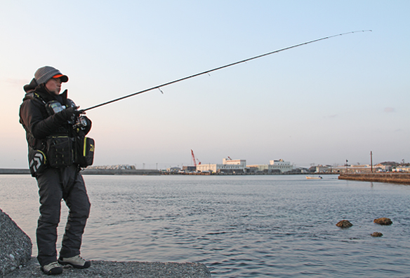 EVERGREEN（エバーグリーン インターナショナル） - ZAGS-86ST