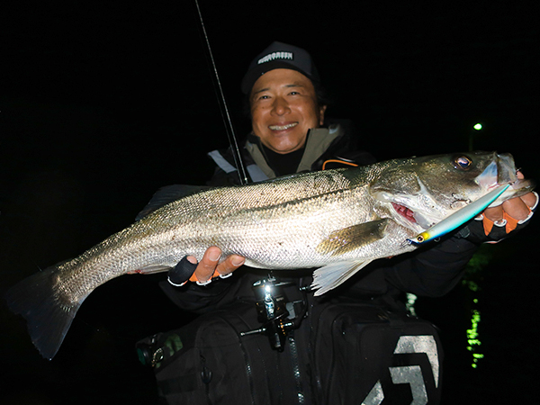 EVERGREEN（エバーグリーン インターナショナル） - ZAGS-96ML/M+