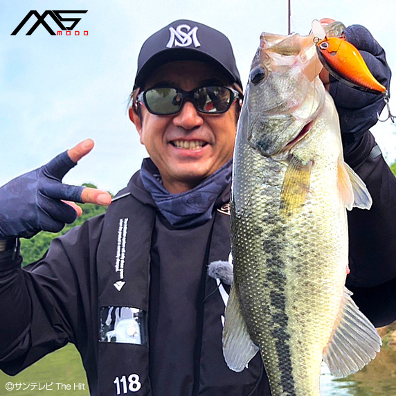 EVERGREEN（エバーグリーン インターナショナル） - MS-modo